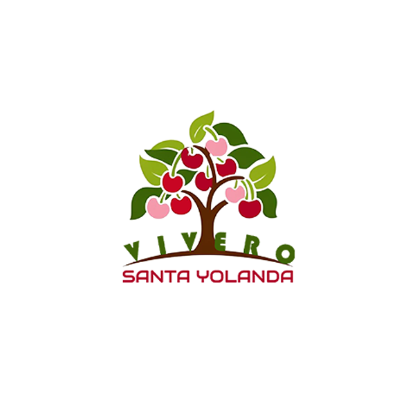 Logo de Vivero Santa Yolanda, vivero de árboles frutales en Chimbarongo.